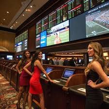 ibet8